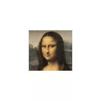 Leonadro Da vinci